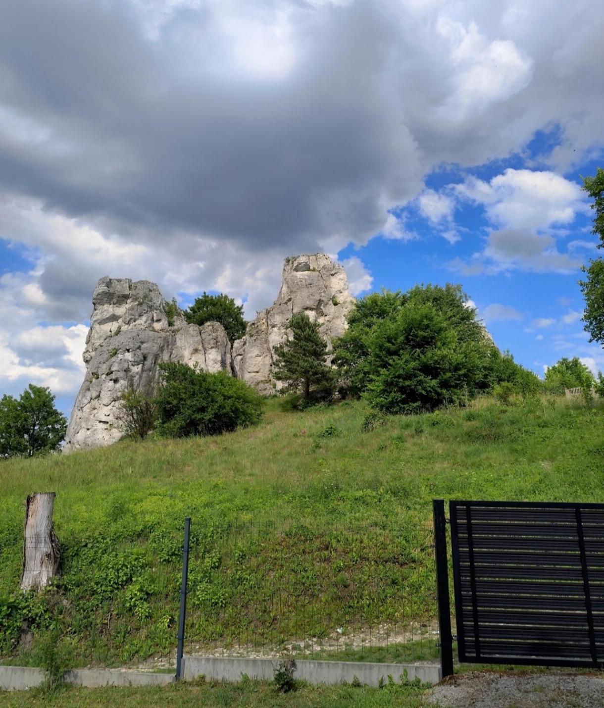 Villa Bajkowa Dolina Niegowa Exterior foto